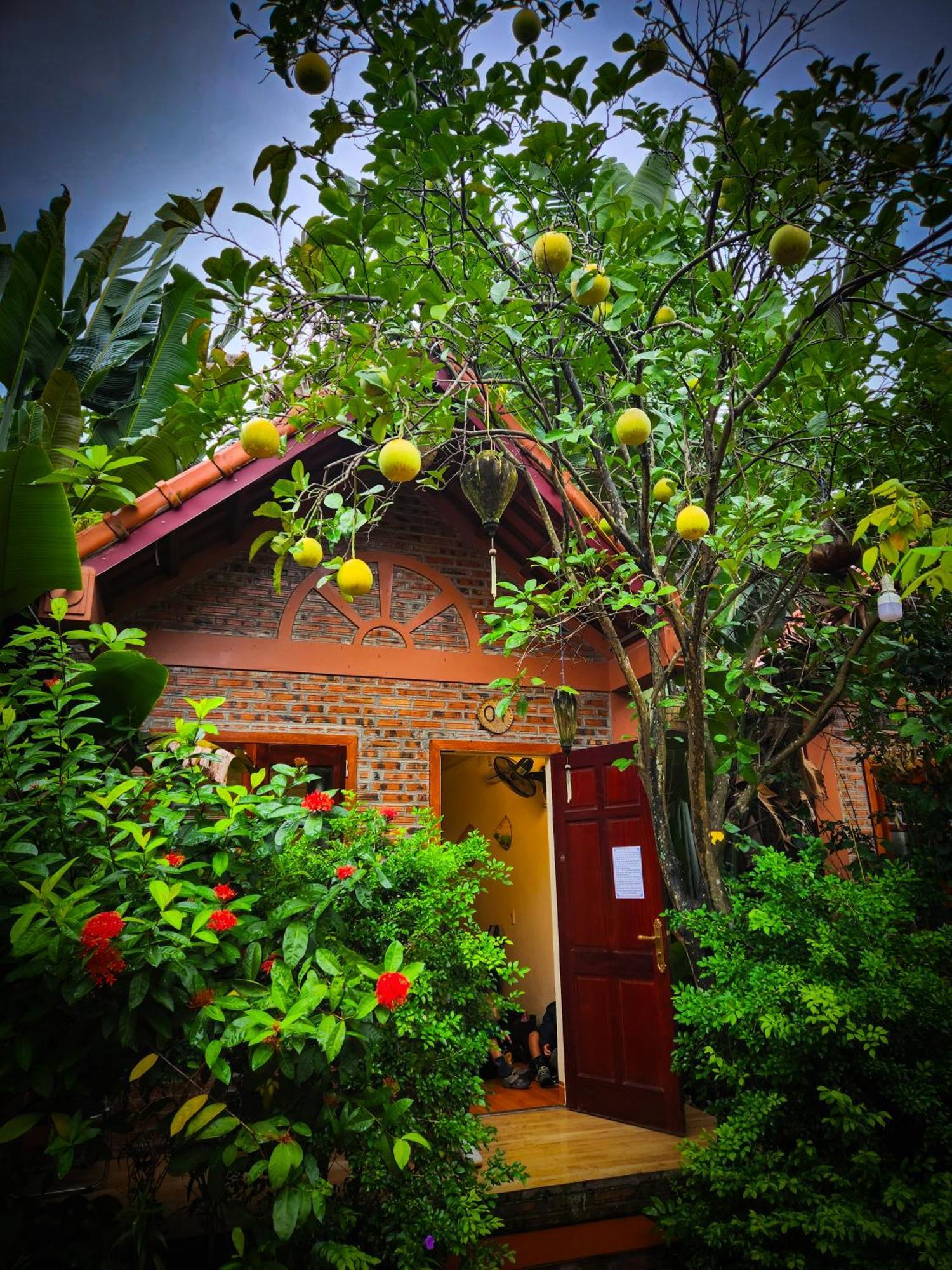 Trang An Village Homestay Ninh Bình Extérieur photo